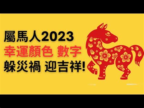 屬馬幸運數字2023|2023年12生肖運勢大全——生肖馬